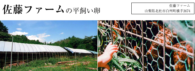佐藤ファームの平飼い卵